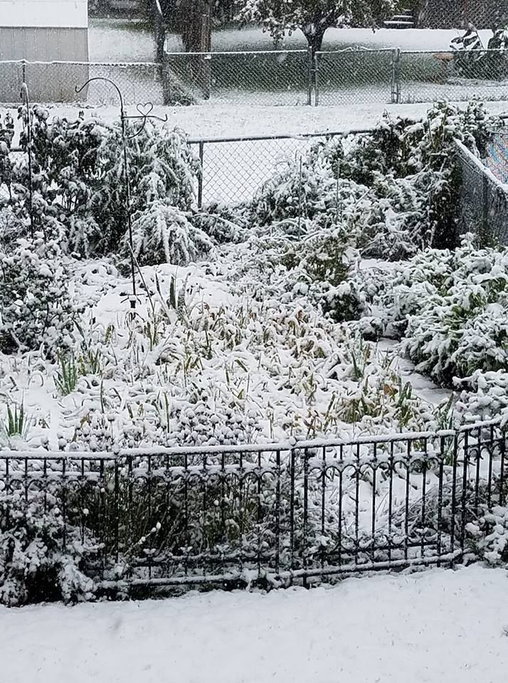 Snow, 10/14